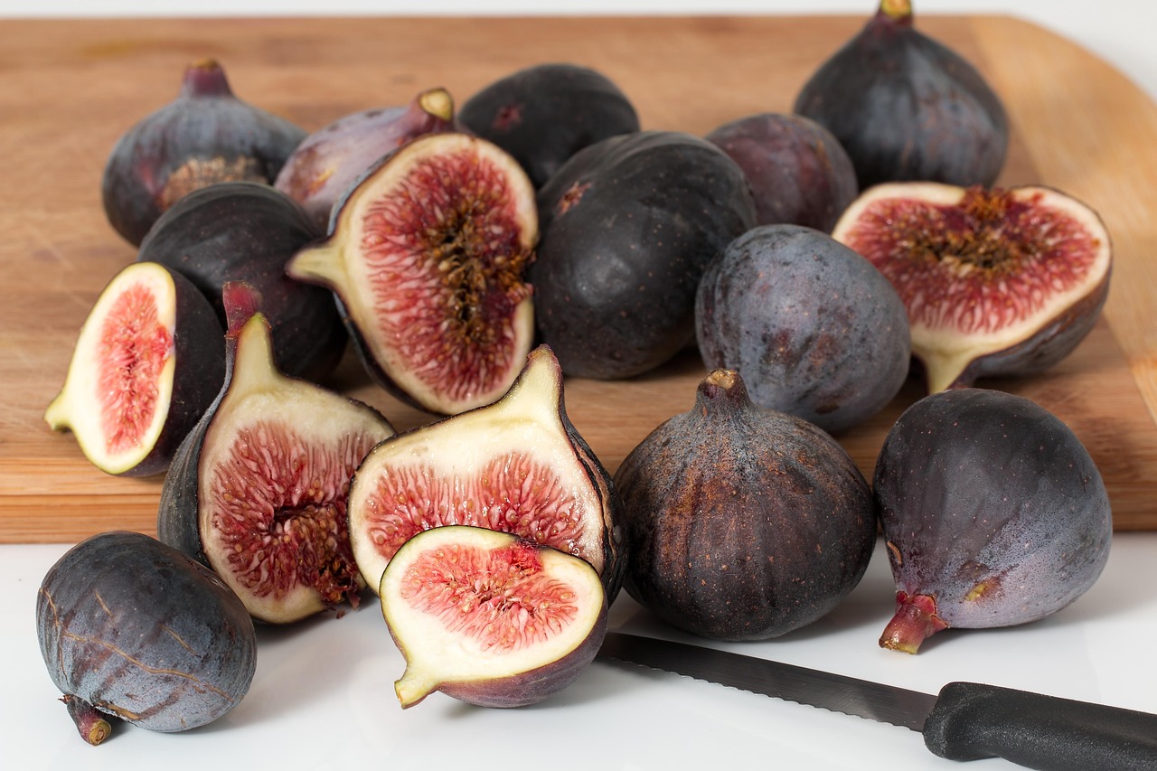Tired, Wired, or Well-Fired? A Nurse’s Guide to Not Eating Like a Garbage Disposal