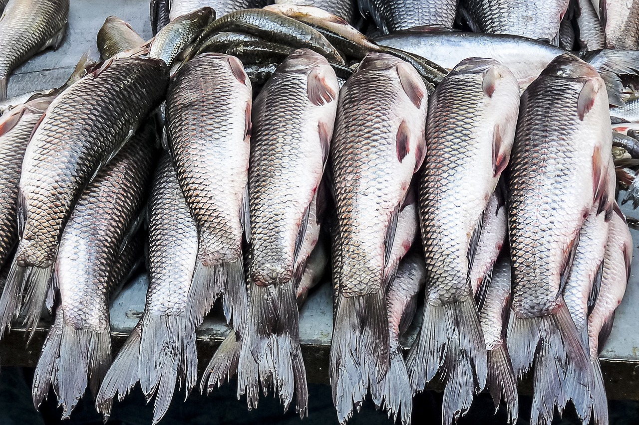 Fueling the Front Lines: A Nurse’s Guide to Not Eating Like a Garbage Disposal